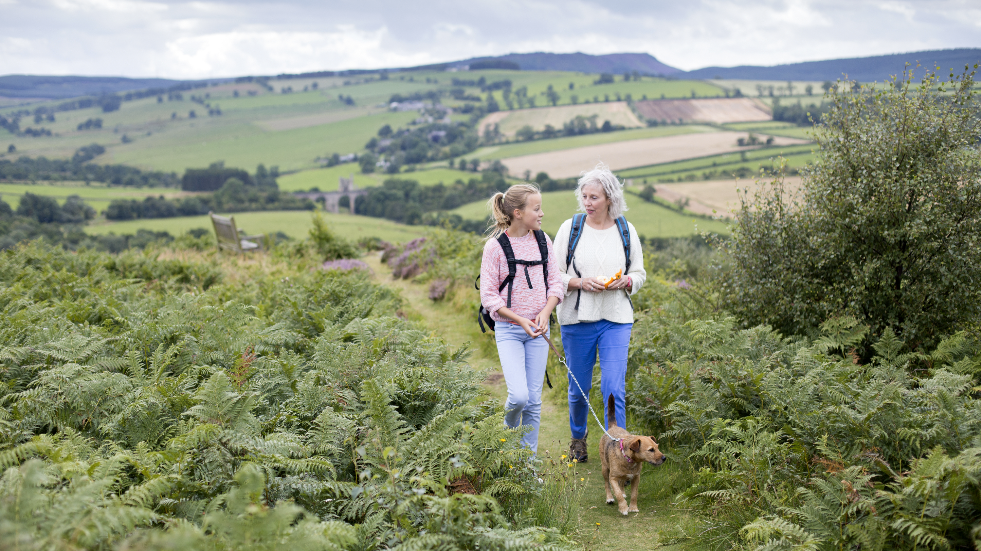 Exercise your way to mindfulness